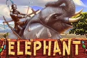 PLAYSTAR : ELEPHANT - KINGBET189