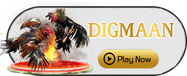 Digman - KINGBET189